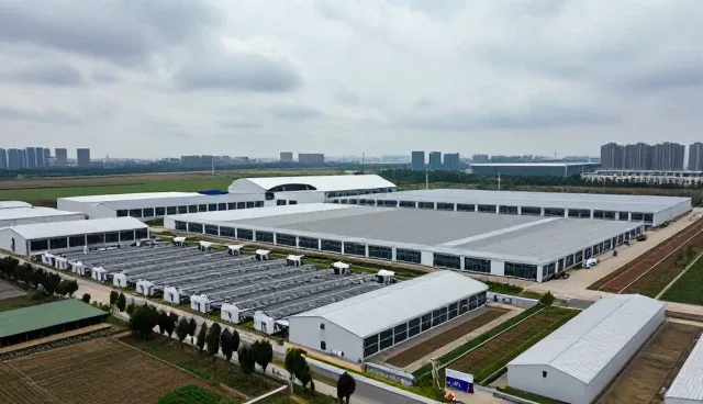 小程序商城在网站维护中的实际应用分析